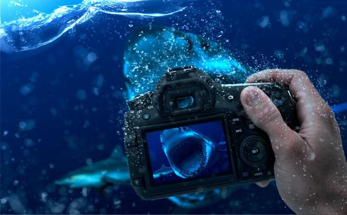 Рейтинг 6 лучших камер для зимней рыбалки