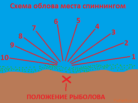 Схема облова акватории спиннингом