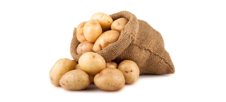 Супер эффективная приманка для карпа — картошка