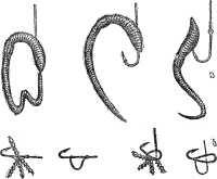 Схема насаживания червя