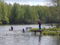 Рыбак на реке