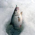 Мормышки для зимней рыбалки